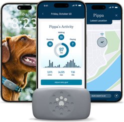 Purina Petivity Waterproof Smart GPS & Activity Dog Tracker Tag