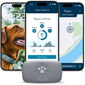 Dog Tracker | intelligente anti-verlies decive tag voor huisdieren