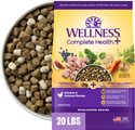 Wellness Complete Health+ Adult Chicken & Oatmeal Dry Dog Food, 20-lb bag