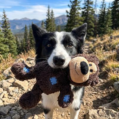 Show full view: KONG Wild Knots Bear Dog Toy, Color Varies, Medium/Large slide 8 of 9