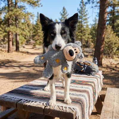 Show full view: KONG Wild Knots Bear Dog Toy, Color Varies, Medium/Large slide 7 of 9