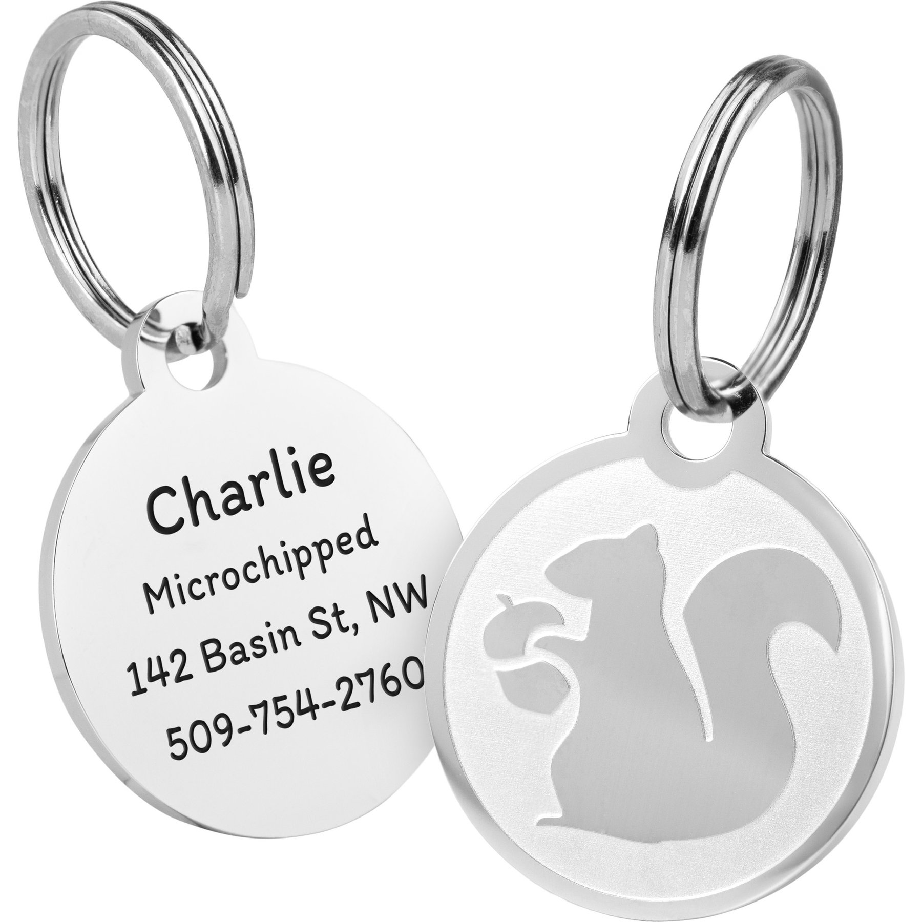 GoTags Fun Design Circle Personalized Dog & Cat ID Tag, Squirrel