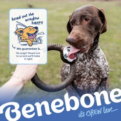 Benebone Ring Blueberry Tough Chewer Dog Toy, Brown, Small slide 2 of 8
