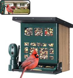 TT Nature Smart Camera Bluebird Feeder, Multicolor, 8.3 x 7.5 x 9.5-in