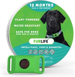 FurLife Flea & Tick Pendant for Dogs, 14.8 g, Green