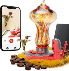 TT Nature Smart Camera Hummingbird Feeder, Multicolor, 8.3 x 7.1 x 10.8-in