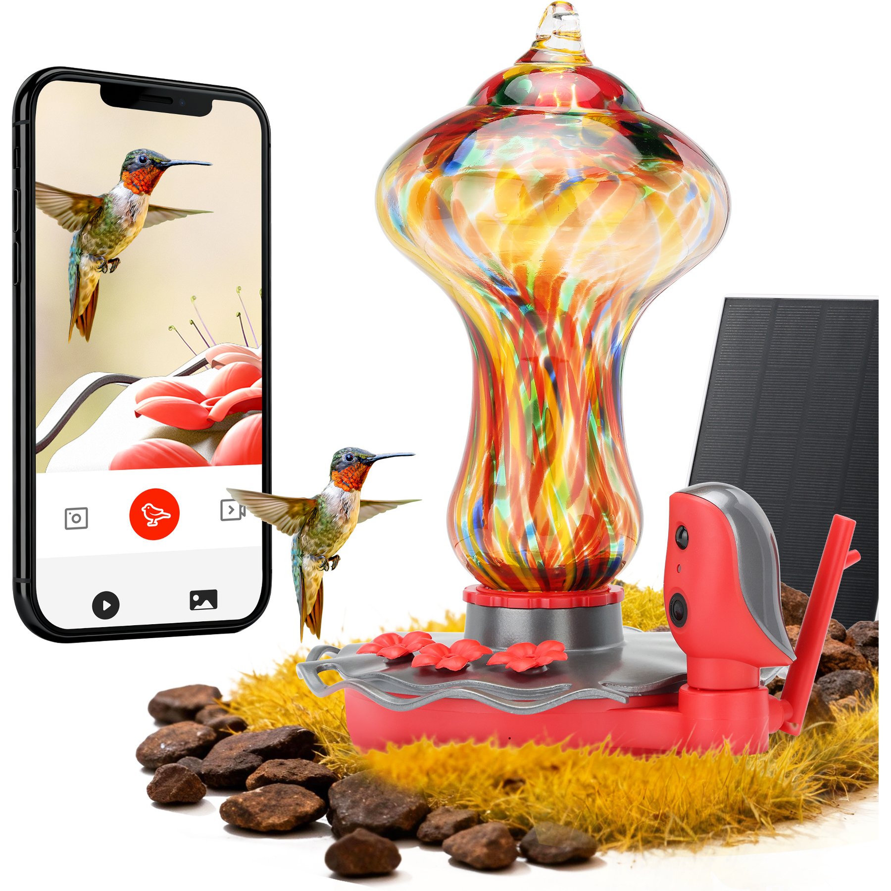 TT Nature Smart Camera Hummingbird Feeder, Multicolor, 8.3 x 7.1 x 10.8-in
