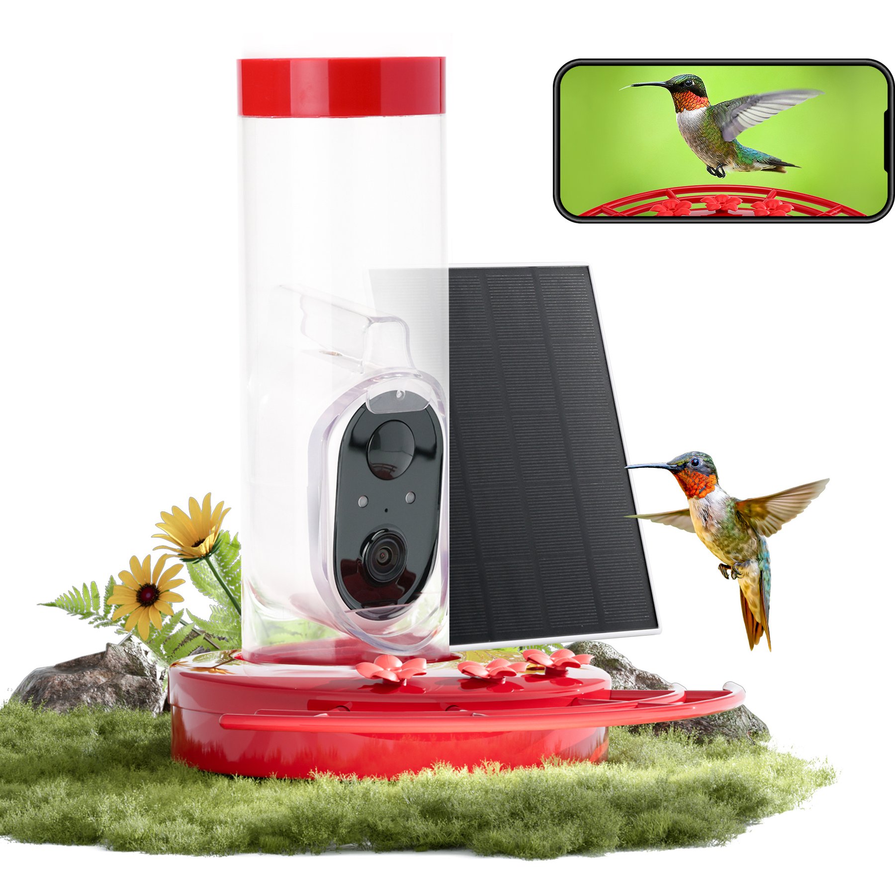TT Nature Smart Camera Hummingbird Feeder, Multicolor, 8.3 x 8.2 x 10-in