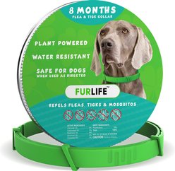 FurLife Flea & Tick Collar for Dogs, Green