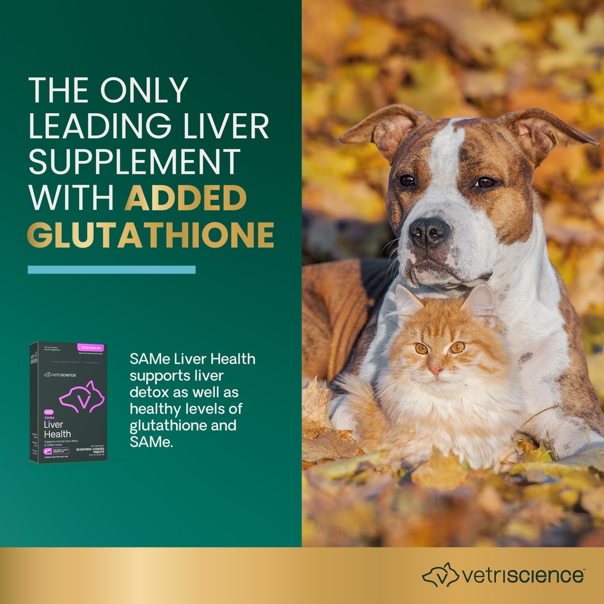 VETRISCIENCE VETRI SAMe 90 Tablets Liver Supplement for Cats & Dogs, 30  count