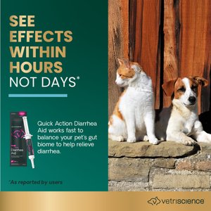 VetriScience Fast Balance G.I. Paste Medication for Digestive Issues for Cats & Dogs, 35-cc