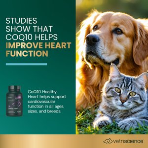 VetriScience Coenzyme Q10 10 mg Capsules Heart Supplement for Cats & Dogs, 100 count