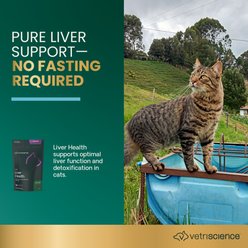 VetriScience Vetri-Liver Feline Bite-Sized Cat Chews, 120 count slide 2 of 9