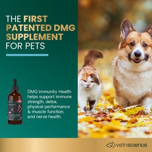 VetriScience Vetri-DMG Liquid Immune Supplement for Dogs, Cats & Birds, 114-mL