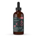 VetriScience Vetri-DMG Liquid Immune Supplement for Dogs, Cats & Birds, 114-mL