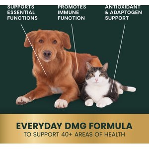 VetriScience Vetri-DMG Liquid Immune Supplement for Dogs, Cats & Birds, 28-mL
