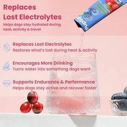 PupSip Electrolyte & Hydration Water Flavor Enhancer Powder Supplement for Dogs, 12 count slide 2 of 9
