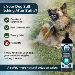 4-Legger COOLING Natural Tea Tree Oil Dog Shampoo with Peppermint, 16-oz bottle slide 2 of 8