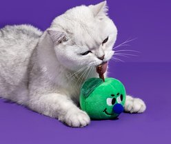 ZEZE Interactive Apple Catnip Plush Cat Toy with Silvervine & Crinkle Leaf, Green slide 2 of 6