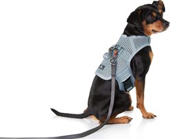 Sleepypod Martingale Plus Dog Harness, Glacier Silver, X-Small: 14 to 18-in chest slide 1 of 2