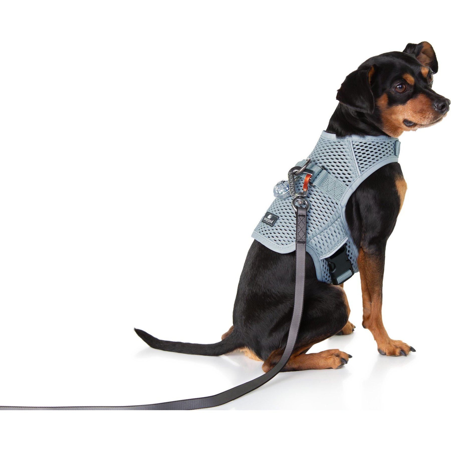 Sleepypod Martingale Plus Dog Harness, Glacier Silver, X-Large: 33 to 40-in chest