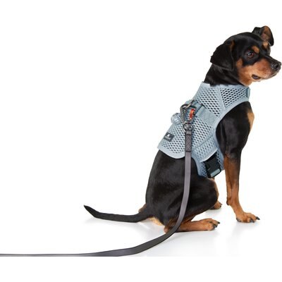 Sleepypod Sleepypod Martingale Plus Dog Harness, Glacier Silver, X-Large: 33 to 40-in chest