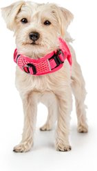 Sleepypod Martingale Plus Dog Harness, Pink Peony, X-Small: 14 to 18-in chest