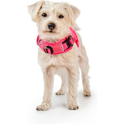 Sleepypod Sleepypod Martingale Plus Dog Harness, Pink Peony, X-Small: 14 to 18-in chest