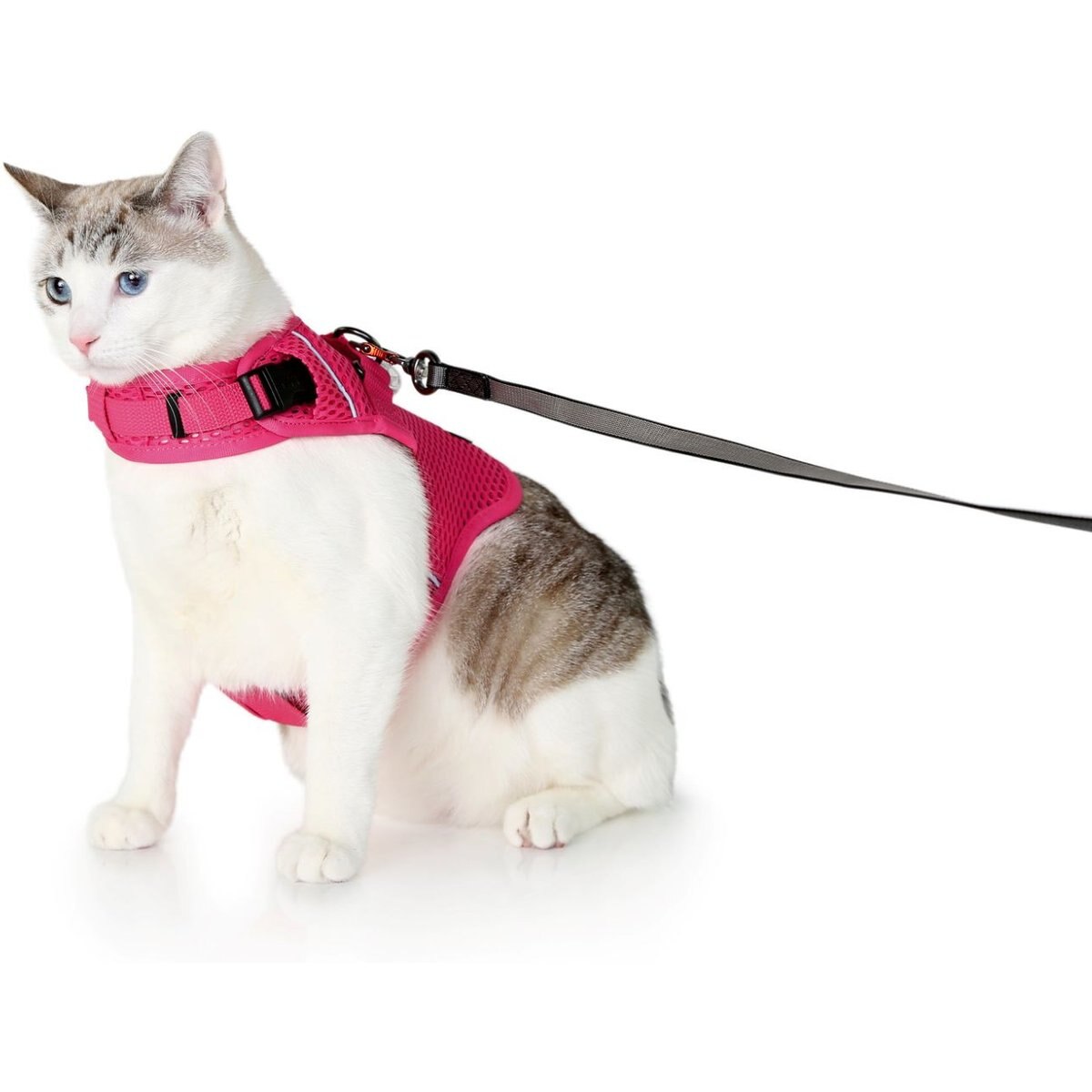 Sleepypod Martingale Plus Cat Harness, Pink Peony, Small: 11 to 14-in chest