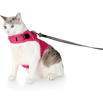 Sleepypod Sleepypod Martingale Plus Cat Harness, Pink Peony, Small: 11 to 14-in chest