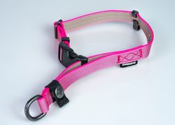 Sleepypod Locking Martingale Dog Collar, Pink Peony, Small: 11 to 15-in neck, 0.75-in wide slide 2 of 3