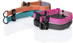 Sleepypod Locking Martingale Dog Collar, Pink Peony, Small: 11 to 15-in neck, 0.75-in wide