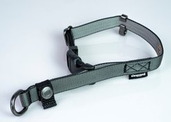 Sleepypod Locking Martingale Dog Collar, Charcoal, Medium: 15 to 20-in neck, 0.75-in wide