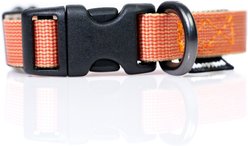 Sleepypod Everyday Dog Collar, Brilliant Copper, 7 to 11-in neck, 0.5-in wide