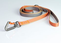 Sleepypod Slim Dog Leash, Brilliant Copper, Small: 4-ft long, 1/2-in wide