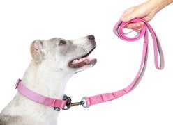 Sleepypod Power Dog Collar, Pink Peony, 19 to 29-in neck, 1-in wide slide 2 of 3