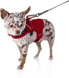 Sleepypod Martingale Plus Dog Harness, Strawberry Red, X-Small: 14 to 18-in chest