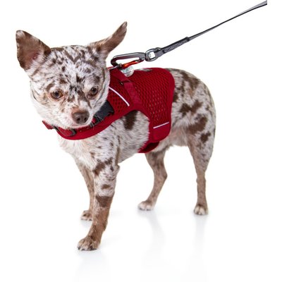 Sleepypod Sleepypod Martingale Plus Dog Harness, Strawberry Red, X-Large: 33 to 40-in chest