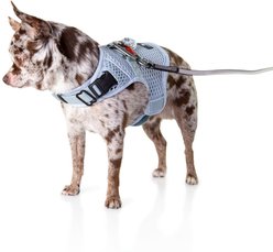 Sleepypod Martingale Plus Dog Harness, Glacier Silver, X-Small: 14 to 18-in chest slide 2 of 2
