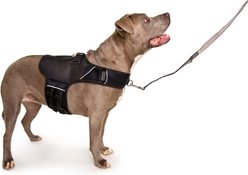 Sleepypod Martingale Plus Dog Harness, Jet Black, X-Large: 33 to 40-in chest