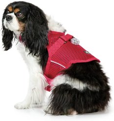 Sleepypod Martingale Plus Dog Harness, Pink Peony, X-Small: 14 to 18-in chest slide 2 of 2