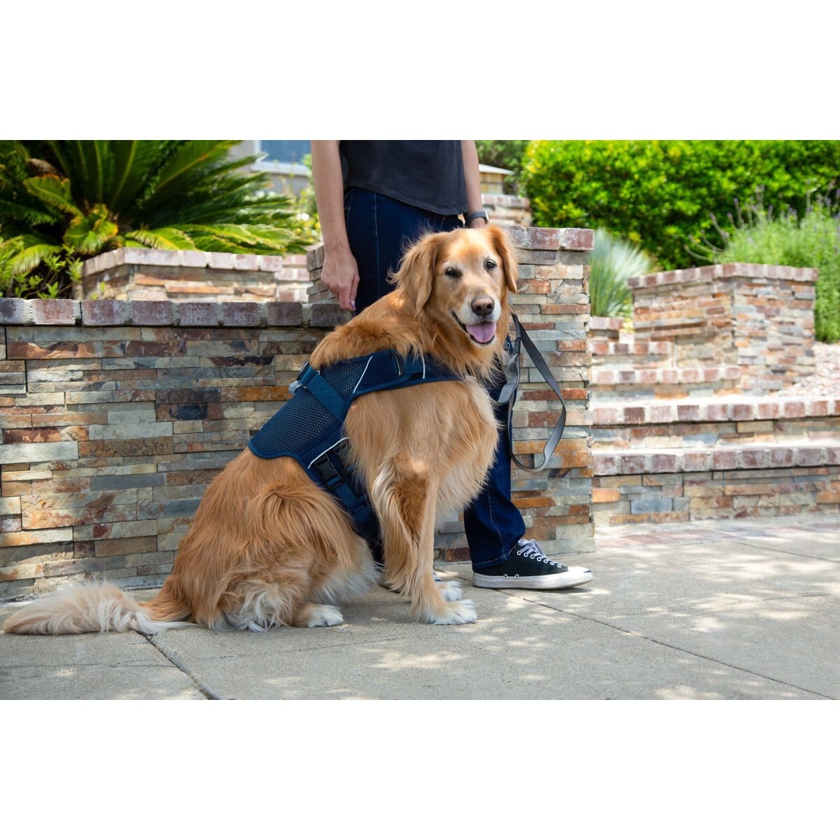 Sleepypod Martingale Plus Dog Harness, Midnight Blue, X-Small: 14 to 18-in chest