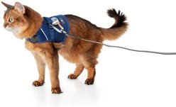Sleepypod Martingale Plus Cat Harness, Midnight Blue, Small: 11 to 14-in chest