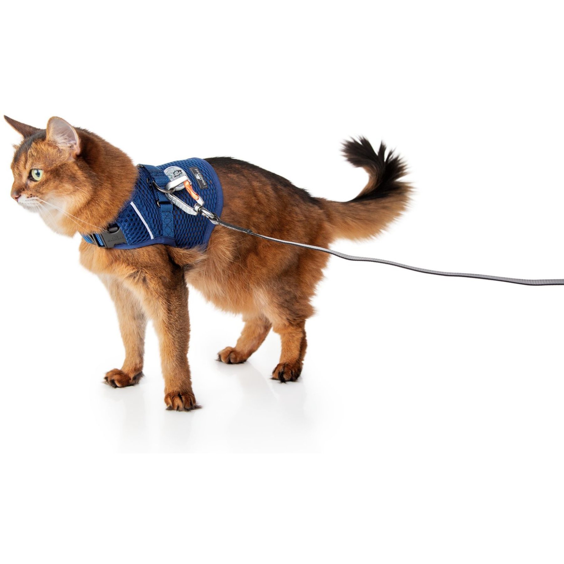 Sleepypod Martingale Plus Cat Harness, Midnight Blue, Large: 18 to 21-in chest