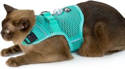 Sleepypod Martingale Plus Cat Harness, Robin Egg Blue, Small: 11 to 14-in chest