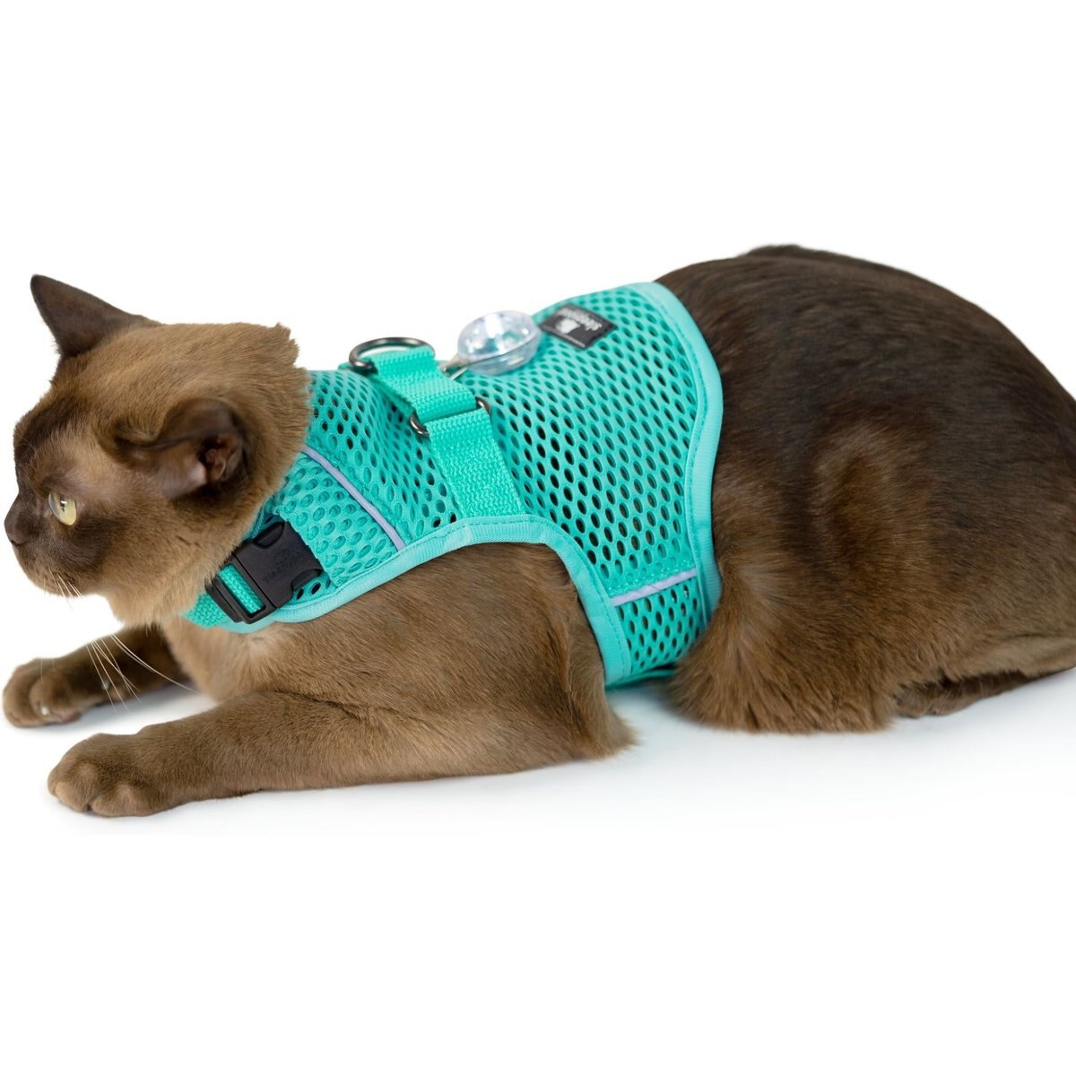 Sleepypod Martingale Plus Cat Harness, Robin Egg Blue, Small: 11 to 14-in chest