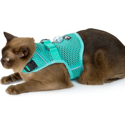 Sleepypod Sleepypod Martingale Plus Cat Harness, Robin Egg Blue, Small: 11 to 14-in chest