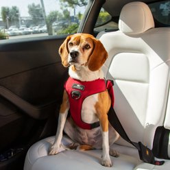 Sleepypod Clickit Range Dog Car Safety Harness, Strawberry Red, Small: 19 to 24-in chest slide 2 of 7