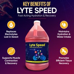 Nutra Cell Lyte Speed Powder Horse Electrolyte Supplement, 5-lb bucket slide 2 of 6