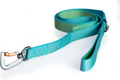 Sleepypod Power Dog Leash, Blue Lagoon, Medium: 6-ft long, 3/4-in wide